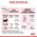 Kitten / Royal Canin Feline