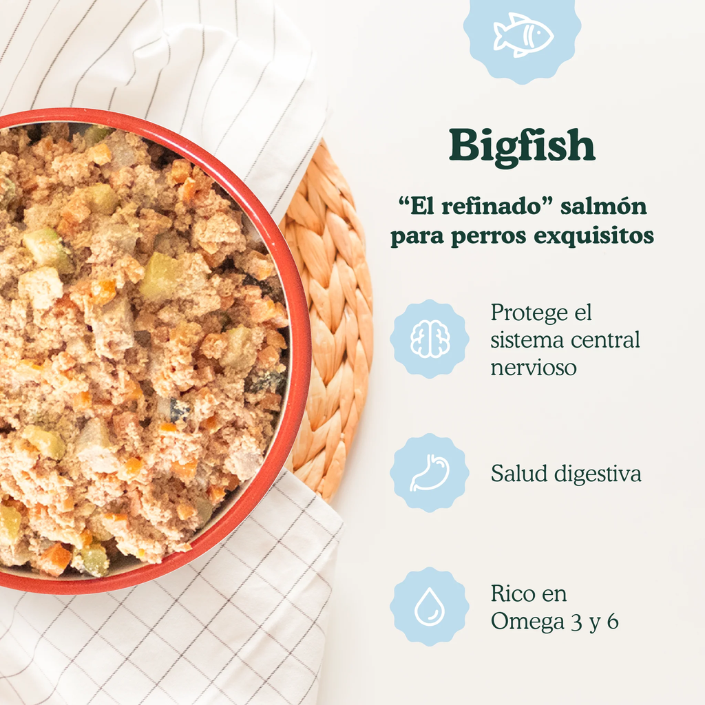 Food for Joe Bigfish