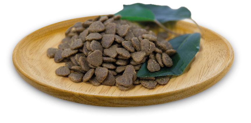 Natural Greatness Pienso de Cordero para Perros