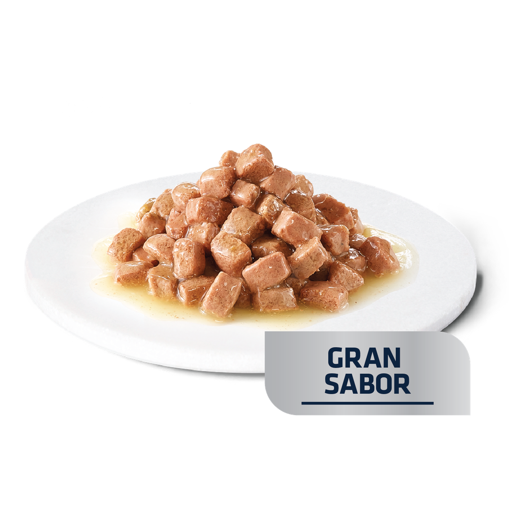 Advance Recovery para Gatos y Perros 100gr.