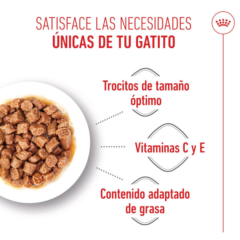 Royal Canin Kitten Sterilised Sobres en Salsa para Gatitos 6-12 meses 85 gr.