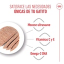 Royal Canin Lata Mother & Babycat 195g.