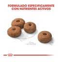 Royal Canin Maxi Sterilized para Perro Adulto