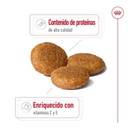 Royal Canin Medium Adulto para Perros
