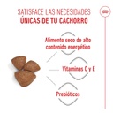 Royal Canin Starter Mother & Baby Mini para Perros