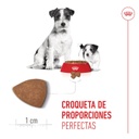 Royal Canin Starter Mother & Baby Mini para Perros