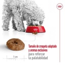 Royal Canin Mini Ageing 12+