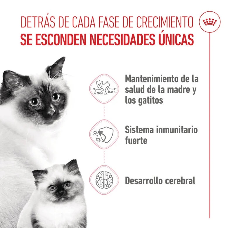 Royal Canin Mother & Babycat para Gatos