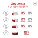 Royal Canin Mother & Babycat para Gatos