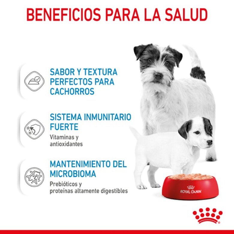 Royal Canin Starter Mommy & Baby Mousse para Perros 195g