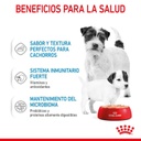 Royal Canin Starter Mommy & Baby Mousse para Perros 195g