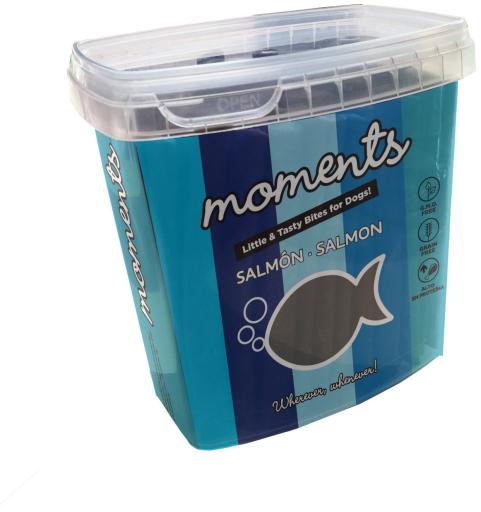Barritas Moments Salmon 600gr / Dingonatura