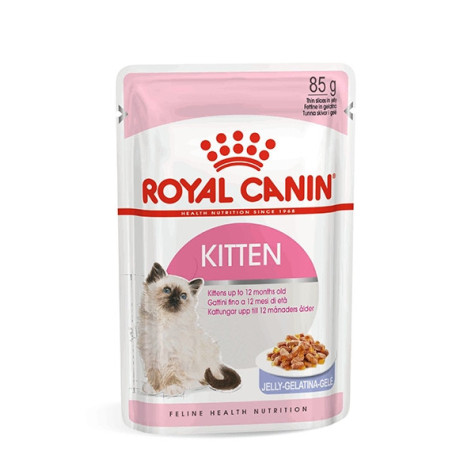 Roya Canin sobre kitten (gelatina)