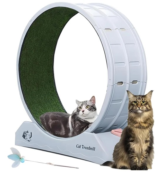 Rueda de ejercico para gatos Pawise 80cm