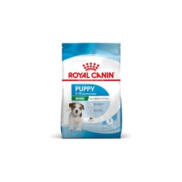 Mini Puppy / Royal Canin canine